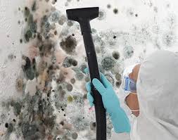 Reliable Ironton, OH Mold Inspection Solutions